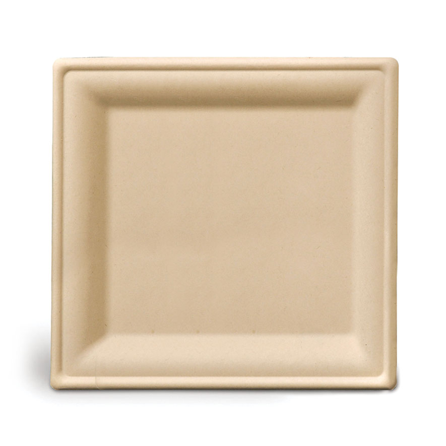 Beautiful disposable plates that are biodegradable & compostable